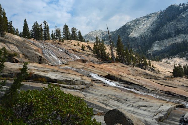 LeConte Falls