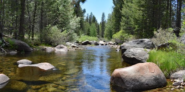 Sugar Loaf Creek